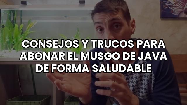 Consejos Y Trucos Para Abonar El Musgo De Java De Forma Saludable