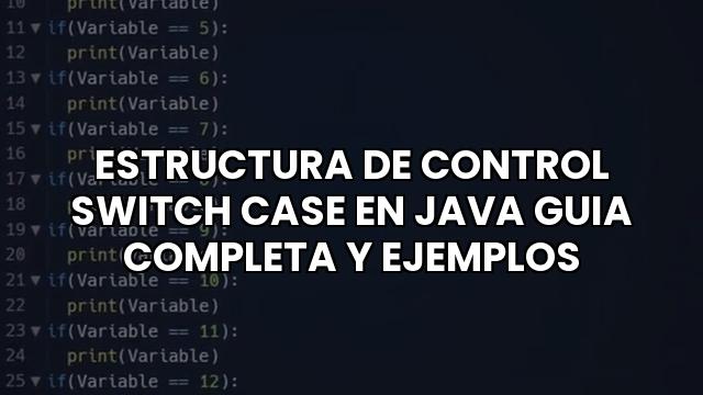 Estructura De Control Switch Case En Java Guia Completa Y Ejemplos