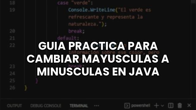 Guia Practica Para Cambiar Mayusculas A Minusculas En Java
