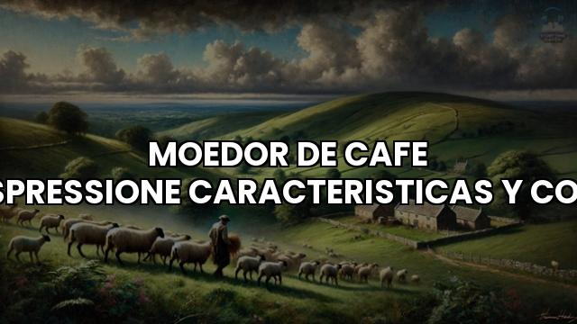 Moedor De Cafe Java Espressione Caracteristicas Y Consejos