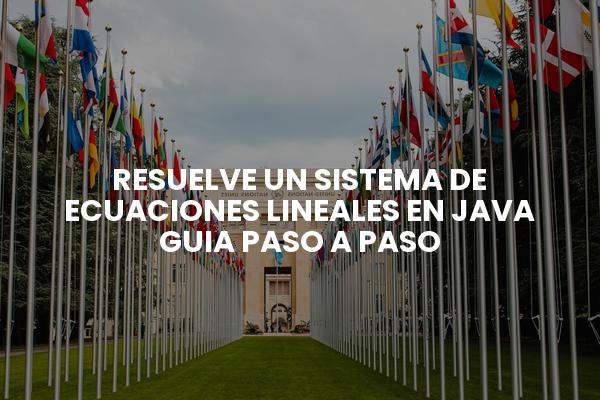 Resuelve Un Sistema De Ecuaciones Lineales En Java Guia Paso A Paso