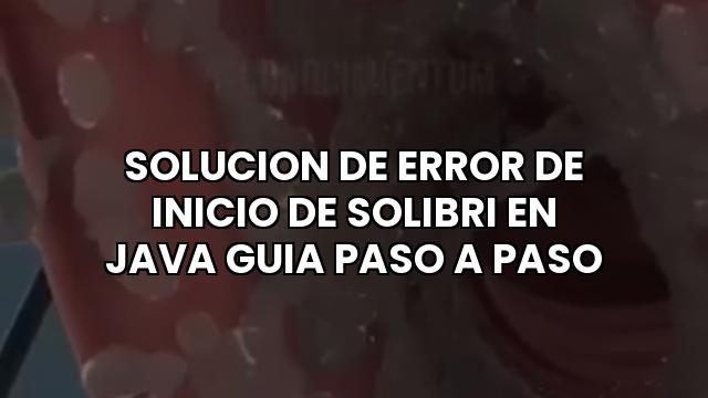 Solucion De Error De Inicio De Solibri En Java Guia Paso A Paso